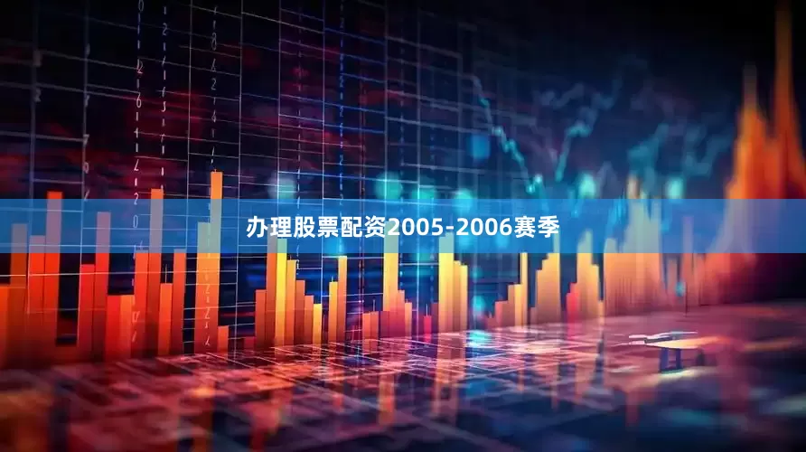 办理股票配资2005-2006赛季