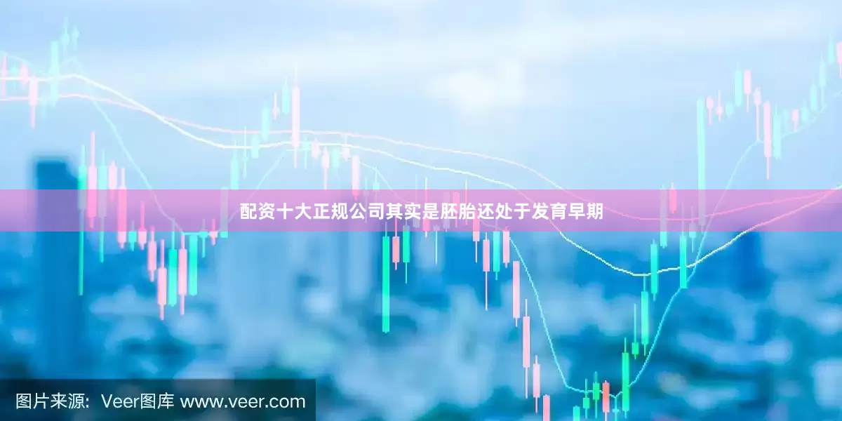 配资十大正规公司其实是胚胎还处于发育早期