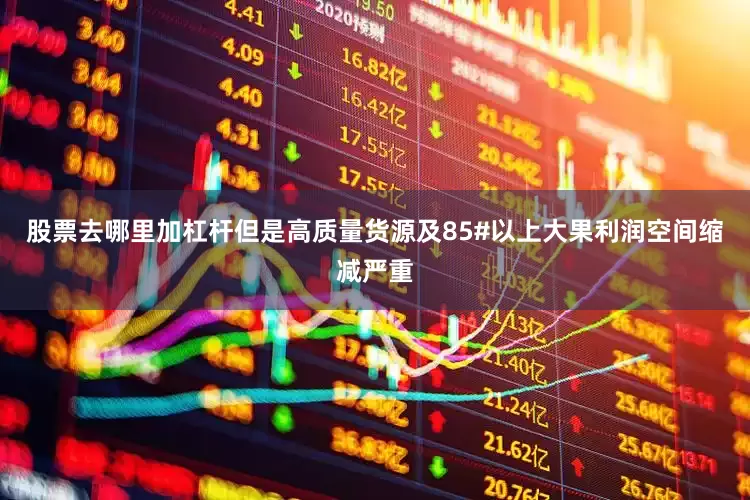 股票去哪里加杠杆但是高质量货源及85#以上大果利润空间缩减严重